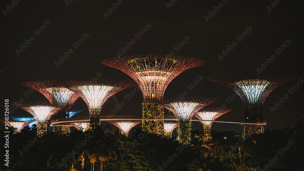 Fototapeta premium Garden by the bay architecture of Supertree Grove in Singapore