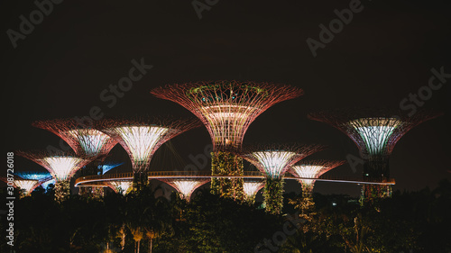 Garden by the bay architecture of Supertree Grove in Singapore
