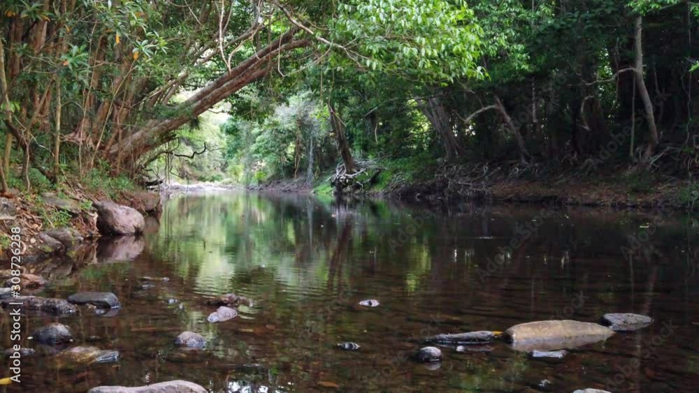 view of water flowing gently down a beautiful creek with the trees all reflecting off the water view of water flowing gently down a beautiful creek with the trees all reflecting off the water