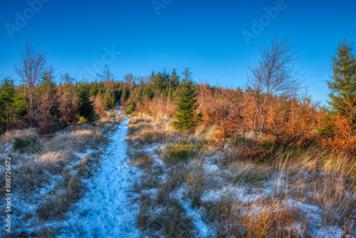 hiking trail snowed and beautifully lit by the sun in the mountains