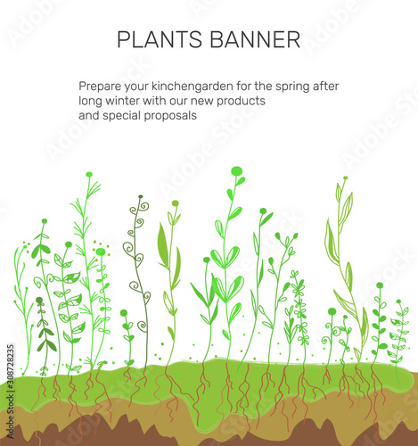Plants and soil background for agricultural banner. Vector graphic illustration