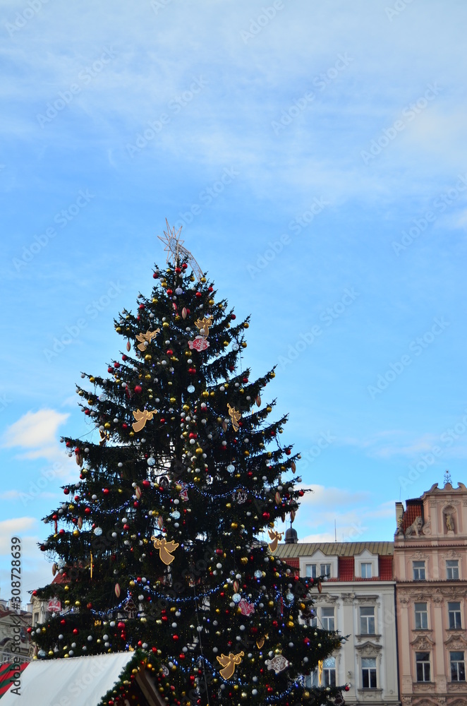 Christmas tree in front of the house on Old Town Square in Prague