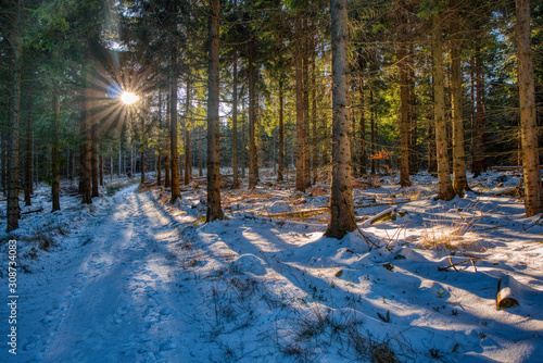 partly covered by forest with snow trail in mountains with shining sun through trees, Beskydy