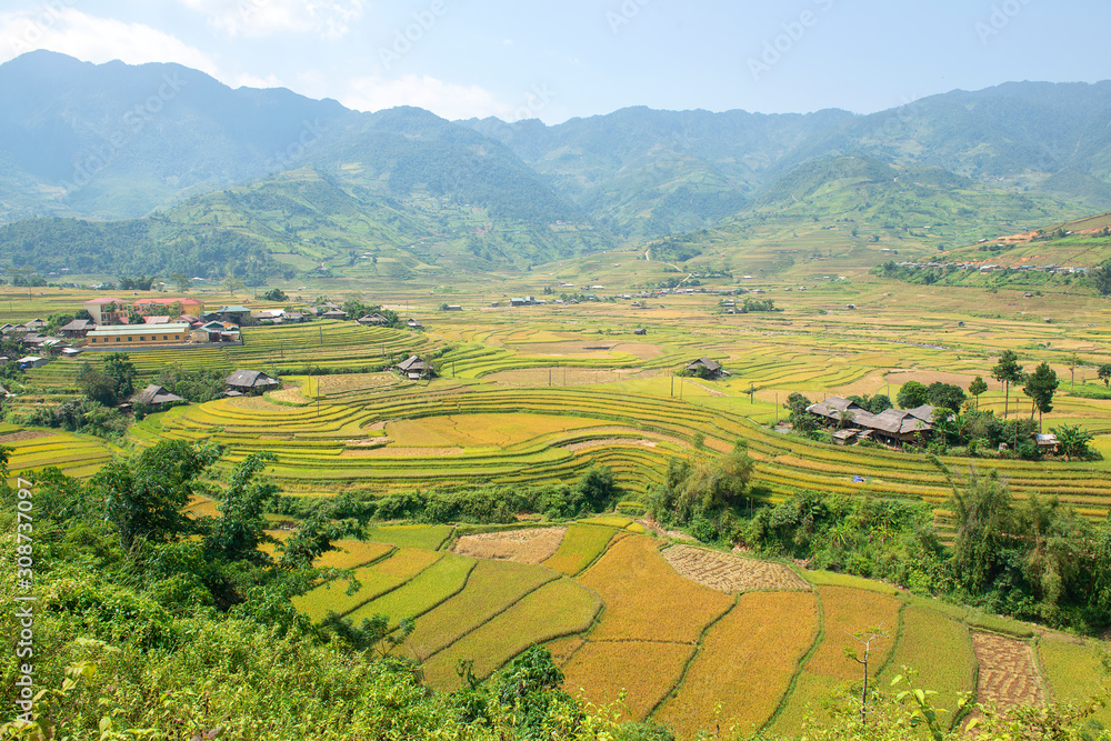 Green, brown, yellow and golden rice terrace fields of Tu Le valley, Northwest of Vietnam	