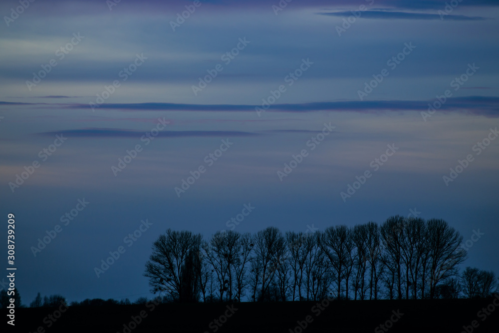 Fototapeta premium landscape with fog