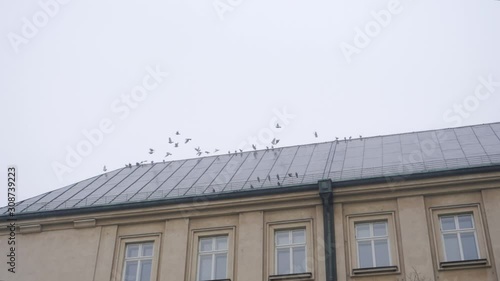 Wallpaper Mural Slow motion track of a flock of pigeons taking off from the roof of a tall, yellow building in Ostrava, Czech Republic Torontodigital.ca