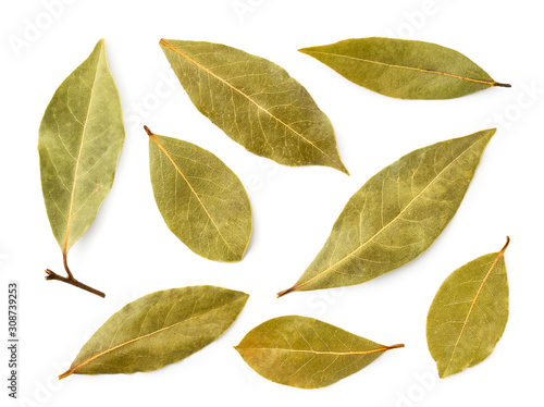 Set of Bay leaves on a white background. The view of top. © innafoto2017