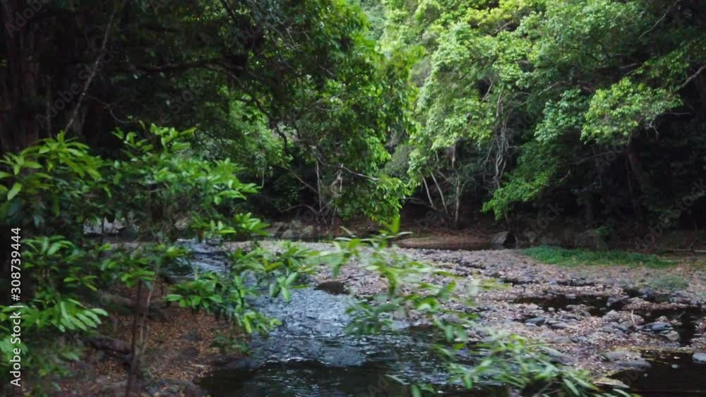 dolly across a creek in cairns seeing down stream in slow motion while panning left slightly dolly across a creek in cairns seeing down stream in slow motion while panning left slightly