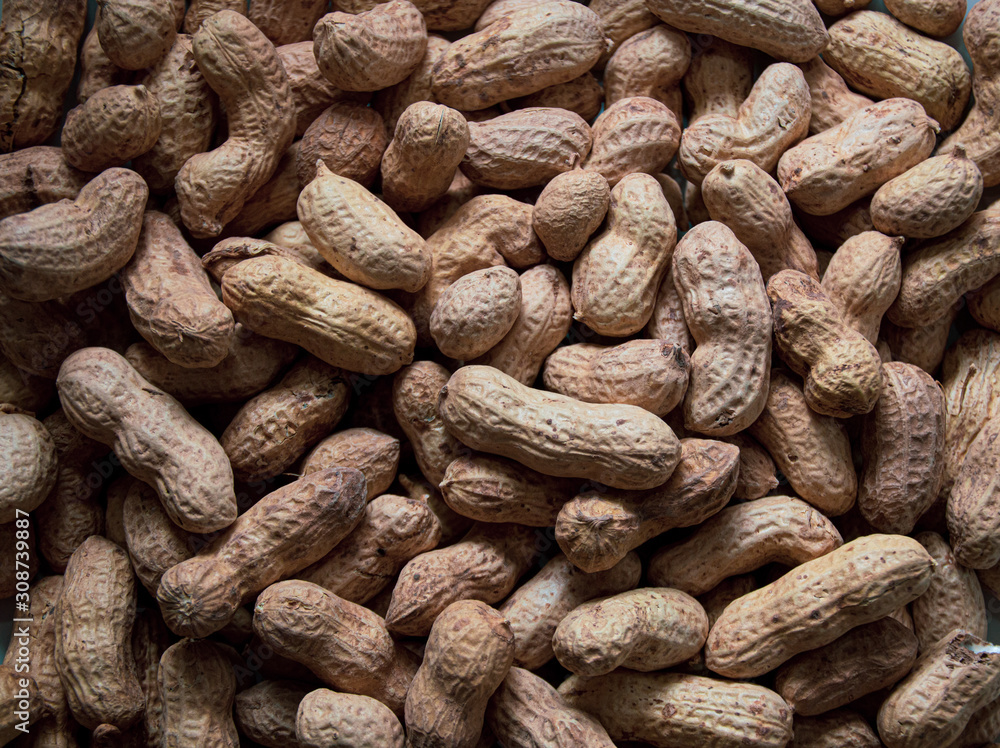 Fototapeta premium peanuts in shell