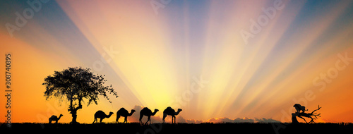 Silhouette of camel caravan going through on the lake. Vector illustration for islamic background, poster, calendar, banners, postcards, website.
