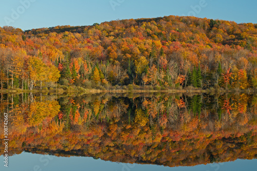 Autumn landscape of Forest Lake with mirrored reflections, Hiawatha National Forest, Michigan's Upper Peninsula, USA