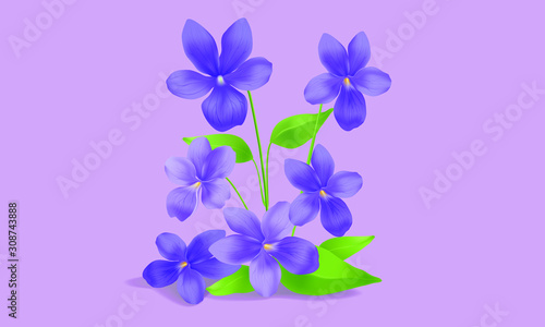Purple flowers © Natalie
