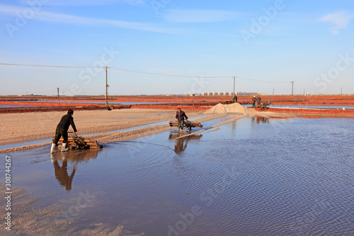workers produced labor in salt field, Luannan, Hebei, China
