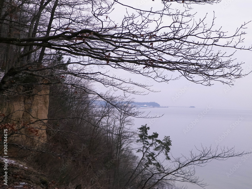 Polish nature - witer forest and Baltic Sea. Polish nature - witer forest and Baltic Sea.