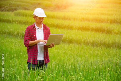 Smart farming.Young Asian male agronomist or agricultural engineer observing green rice field with laptop for the agronomy research. Agriculture and technology concepts