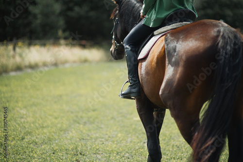 A close up of the side of a horse during a dressage movement shot