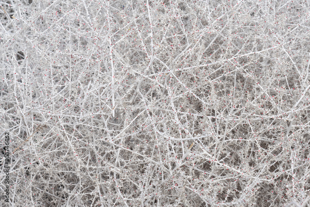 background texture of tumble weed sprayed with white paint aned silver and red glitter background texture of tumble weed sprayed with white paint aned silver and red glitter