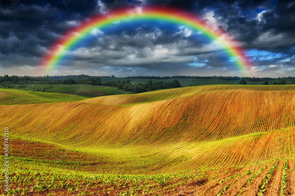 Obraz premium rainbow in the field. picturesque sky over a hilly field