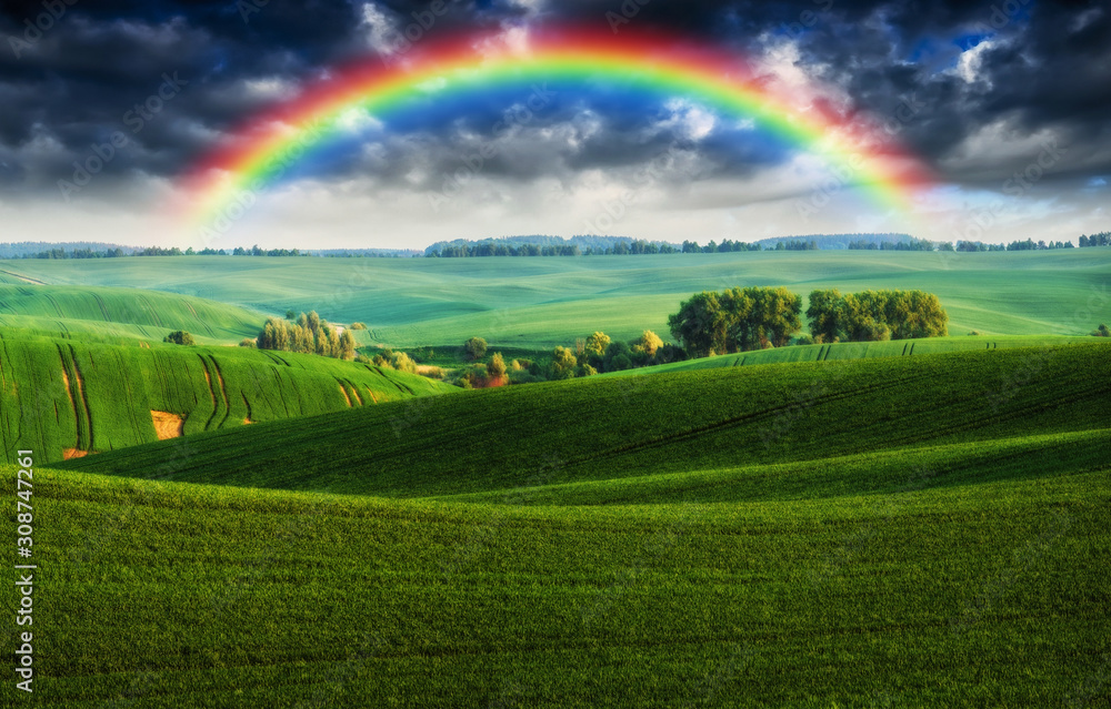 Obraz premium rainbow in the field. picturesque sky over a hilly field