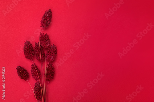 Bunch of red colored dried flowers on red backround with copy space