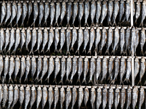 Agon row of fish to dry in the sun