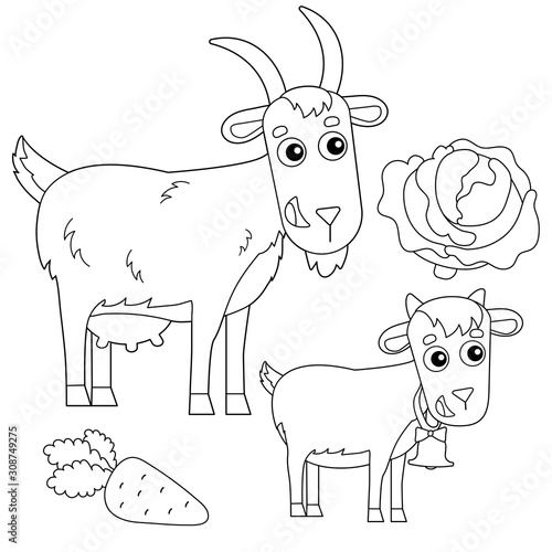 Coloring Page Outline of cartoon nanny goat with kid. Farm animals. Coloring book for kids.