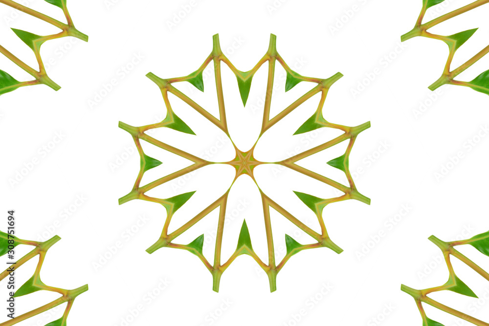 Obraz premium Abstract green background. Can used for object of seamless background.