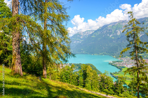 Amazing Brienz Lake in Interlaken, Switzerland photographed from the hiking path leading to Harder Kulm. Beautiful Swiss landscape. Green hills and Alpine lake in the valley. Summer Alpine landscapes