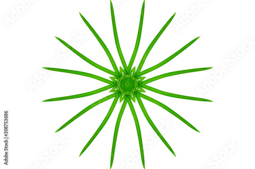 Abstract green background. Can used for object of seamless background.