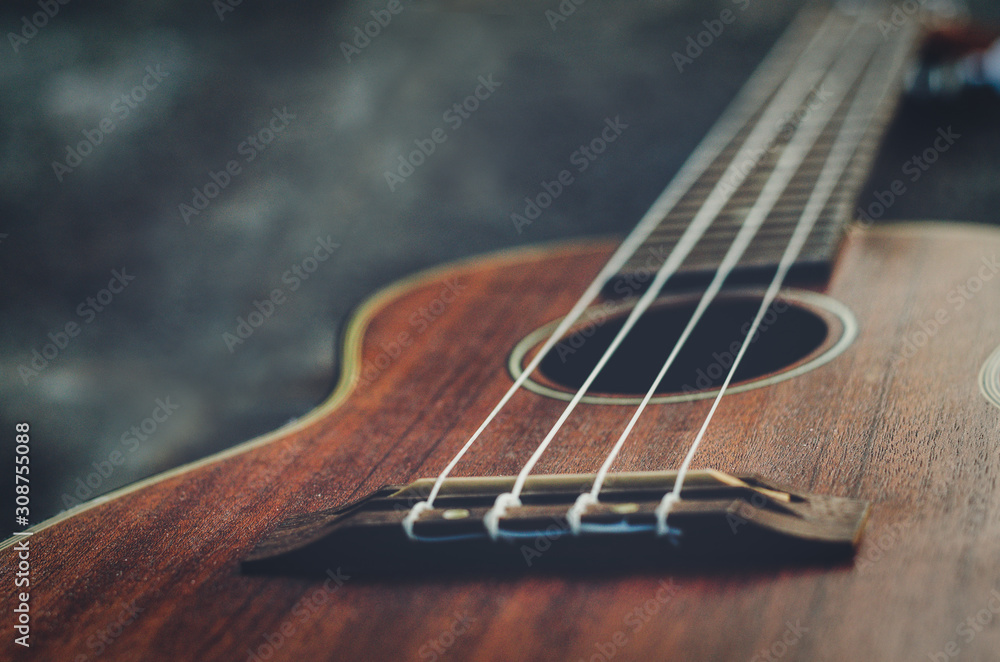 Fototapeta premium Acoustic, stringed instruments are popular in modern music.