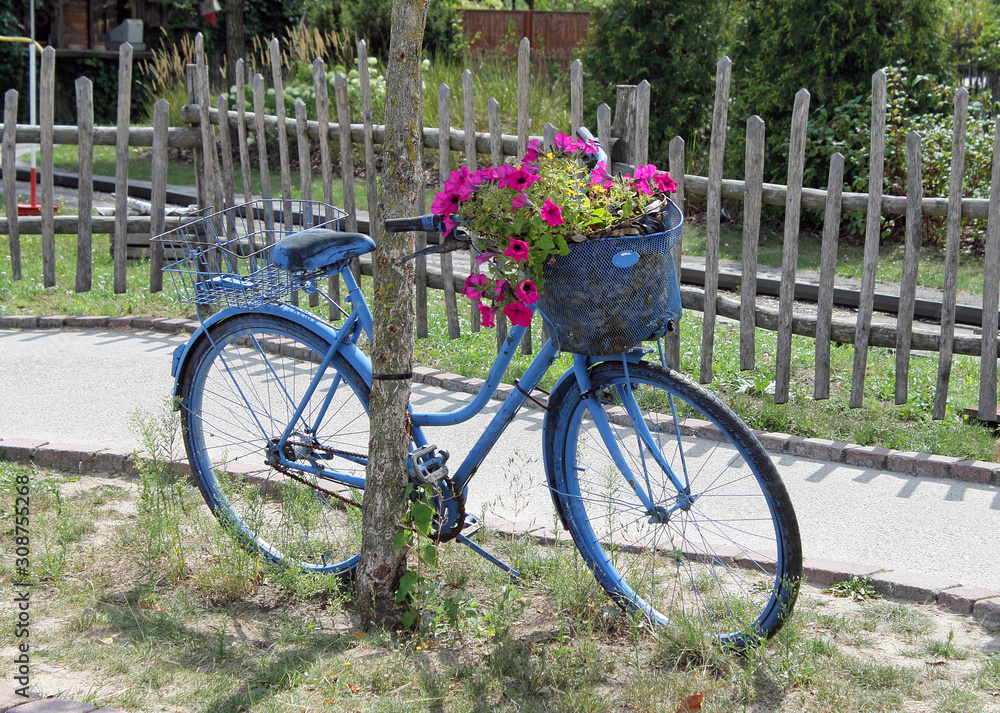 Blaues Fahrrad mit Sommerblumen