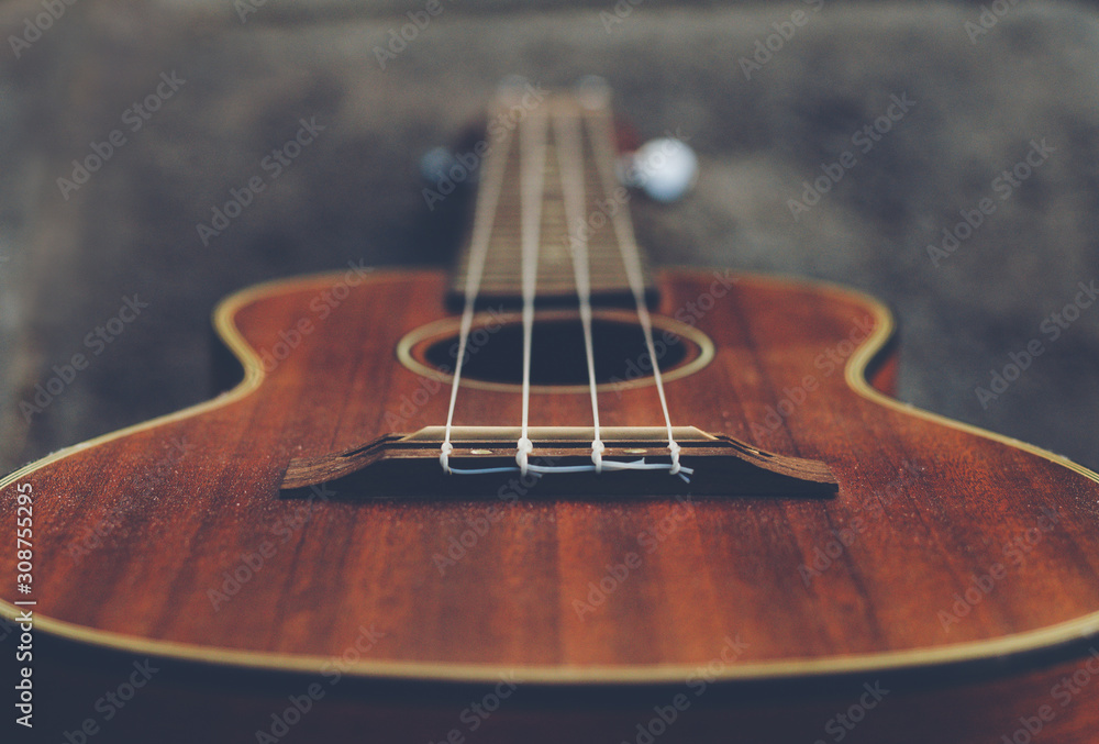 Fototapeta premium Acoustic, stringed instruments are popular in modern music.