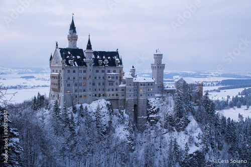 Fotografie castle in winter