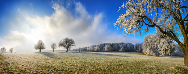 Magical winter panoramic landscape