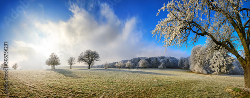 Magical winter panoramic landscape
