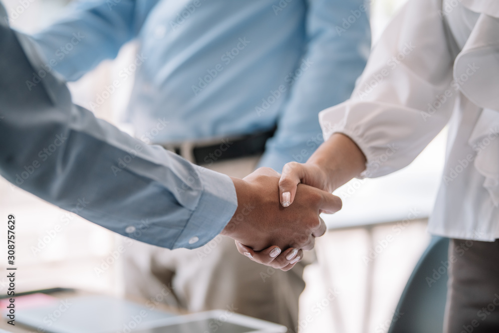 Fototapeta premium Business people shaking hands congratulations and confirmed the agreement and the investment partner.
