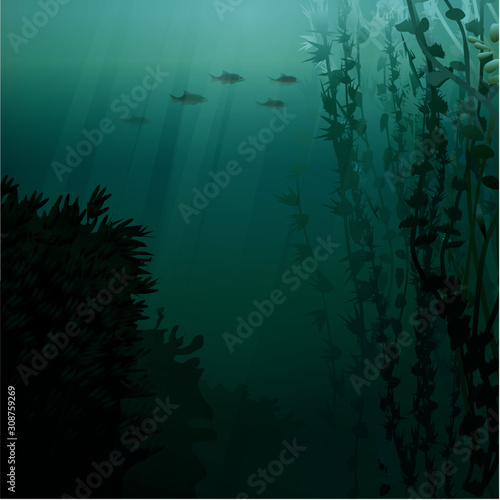 underwater deep blue with plants and fishes