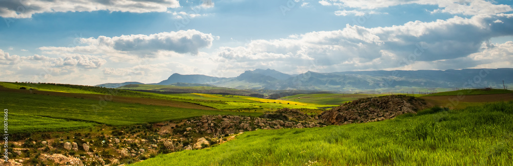 Panorama sunny green slopes of Ifrane at Moyen Atlas mountains, Morocco