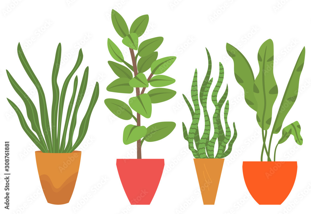Flowers in vases, floral decor for home flat style flourishing on branches, plant with frondage, tender and elegant design, container interior. Isolated flowerpot with blooming plant . Vector in flat Flowers in vases, floral decor for home flat style flourishing on branches, plant with frondage, tender and elegant design, container interior. Isolated flowerpot with blooming plant . Vector in flat