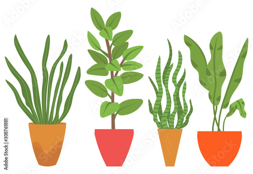 Flowers in vases, floral decor for home flat style flourishing on branches, plant with frondage, tender and elegant design, container interior. Isolated flowerpot with blooming plant . Vector in flat