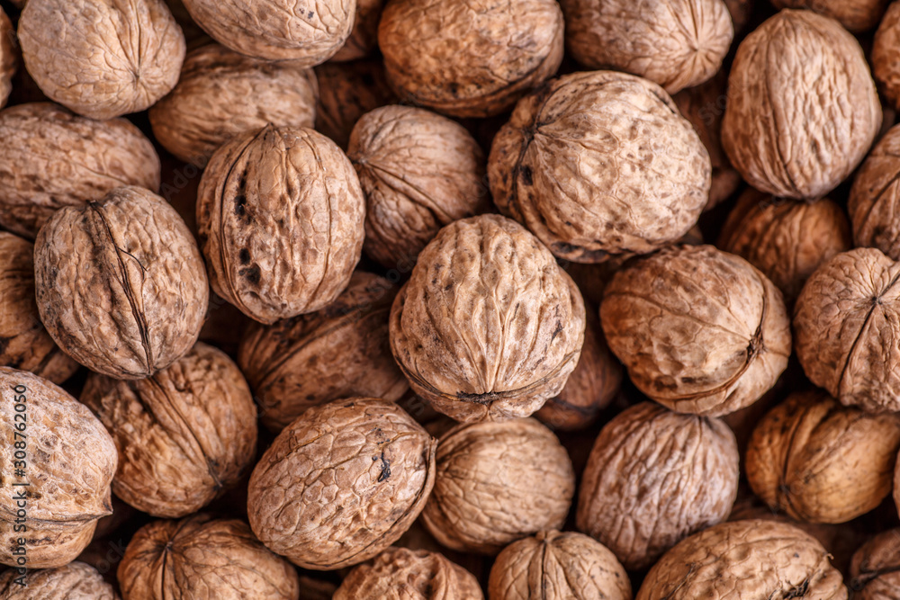 walnuts, unpeeled greek nuts, harvest of walnuts, walnuts closeup, background with walnuts,organic delicious nuts. healthy snack. walnuts, unpeeled greek nuts, harvest of walnuts, walnuts closeup, background with walnuts,organic delicious nuts. healthy snack.