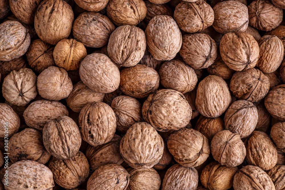 walnuts, unpeeled greek nuts, harvest of walnuts, walnuts closeup, background with walnuts,organic delicious nuts. healthy snack. walnuts, unpeeled greek nuts, harvest of walnuts, walnuts closeup, background with walnuts,organic delicious nuts. healthy snack.
