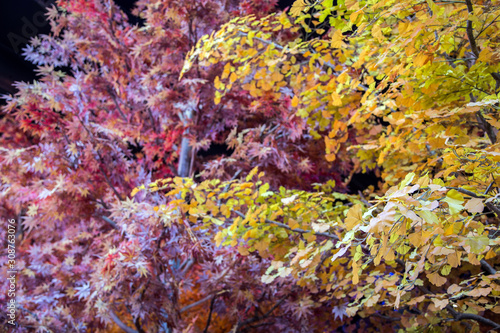 artificial orange dry leaf tree decoration autumn