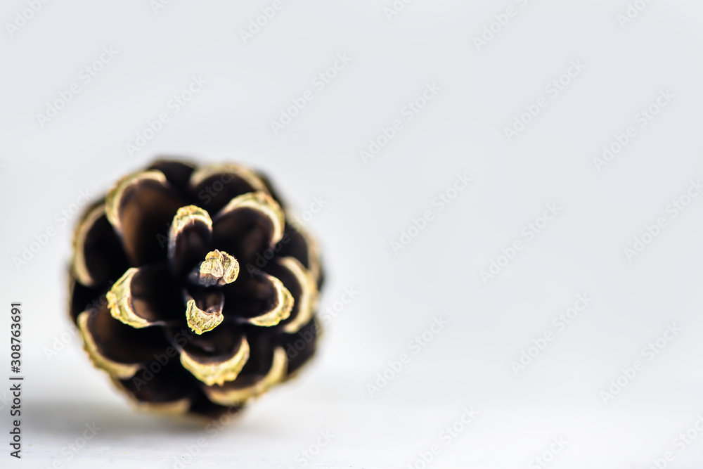 bump on a white background. Close up. winter, background. bump on a white background. Close up. winter, background.