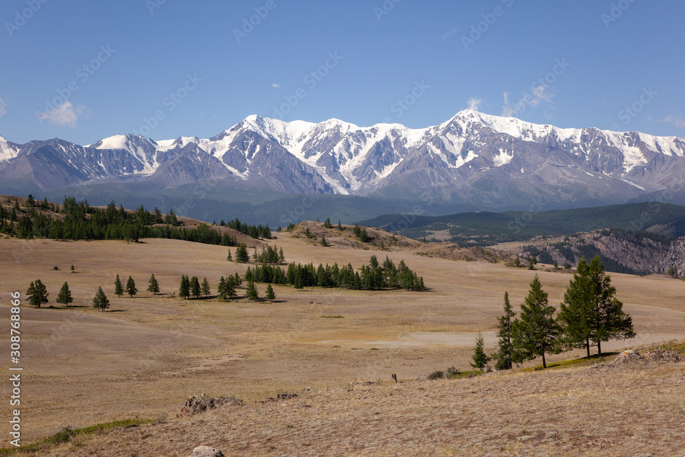 altai snow mountain and steppe forest