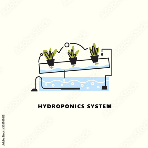Hydroponics system. Vector illustration in outline style.