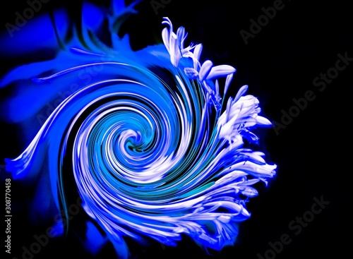 shades of blue floral swirl against a black background
