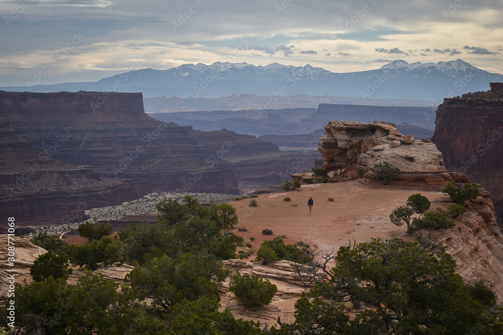 Fototapeta premium canyonlands national park