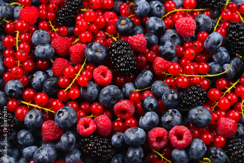 Blackberry, raspberry, blueberry, red currant and mint background. Blackberry, raspberry, blueberry, red currant and mint background.