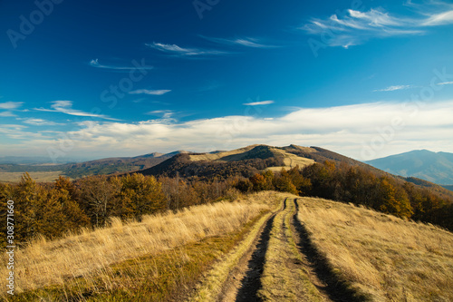 Carpathian mountains forest landscape highland range dirt trail route clear weather day time natural background scenic view, copy space  